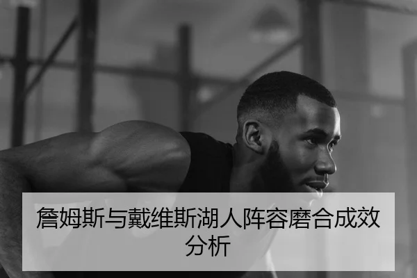 詹姆斯与戴维斯湖人阵容磨合成效分析