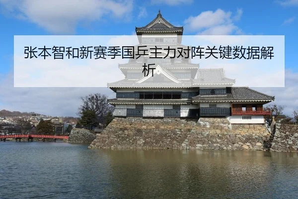 张本智和新赛季国乒主力对阵关键数据解析